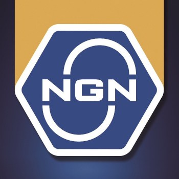 лого ngn